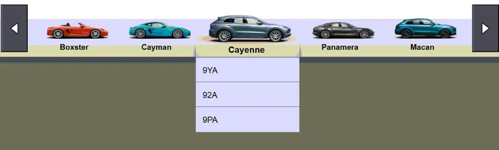 Which model series is supported by the Porsche Piwis 39.9 diagnostic software-2