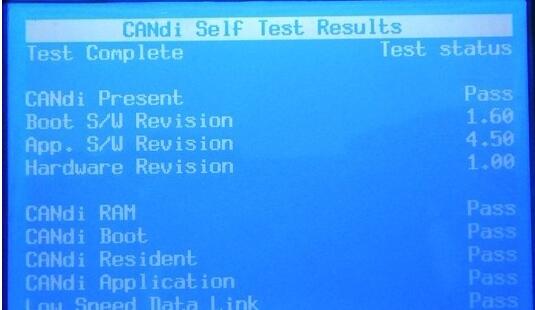tech2-candi-self-test-10